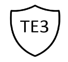 te3c.jpg